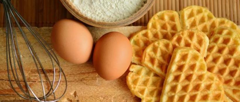 Plant-sourced Food Emulsifier 