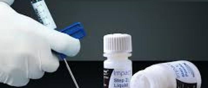 Plastic Cements, Plastic Cements Market, Plastic Cements Market Growth