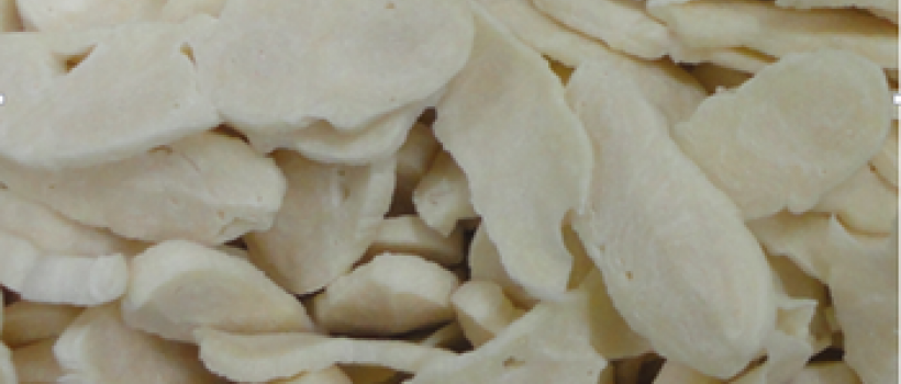Polychloroprene Rubber
