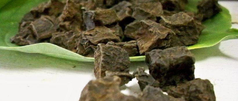  Polygonum Multiflorum Market 