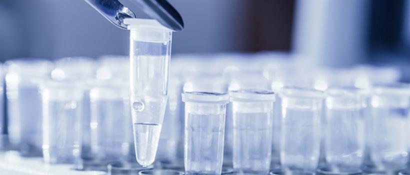 Polyisobutylene and Hydrate Market
