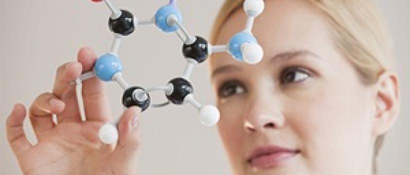 Polyurethane Reactive Adhesive