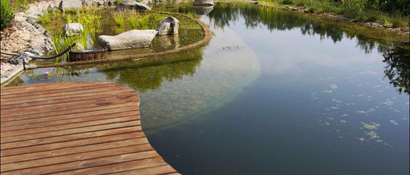 Pond Liner, Pond Liner Market, Pond Liner Market Growth