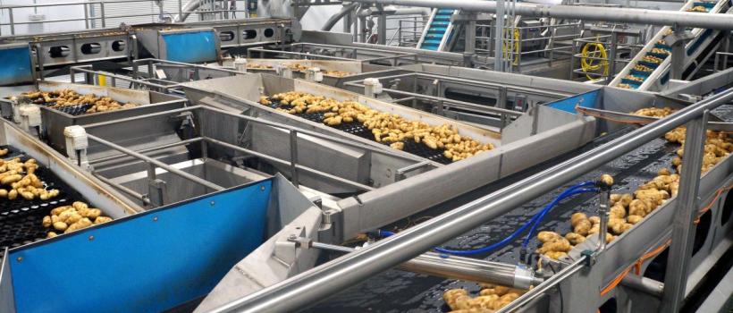 Potato Processing, Potato Processing Market, Potato Processing Market Growth