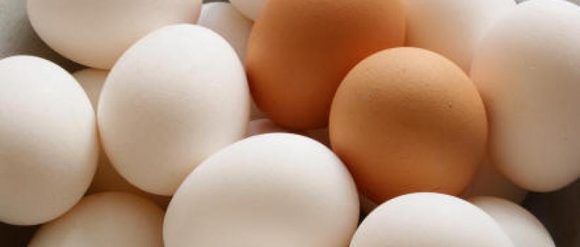 Poultry Eggs Market 