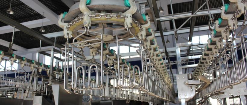 Poultry Processing Equipment