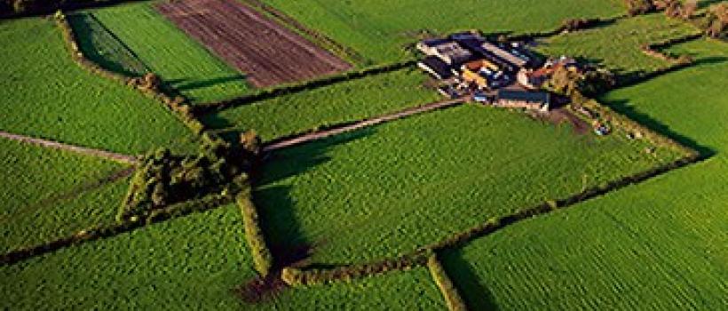 Precision Agriculture