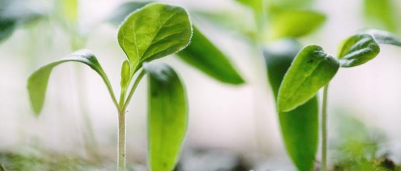 Precision Farming Industry