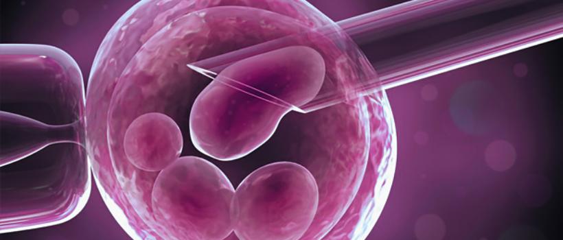 Preimplantation Genetic Diagnosis Market