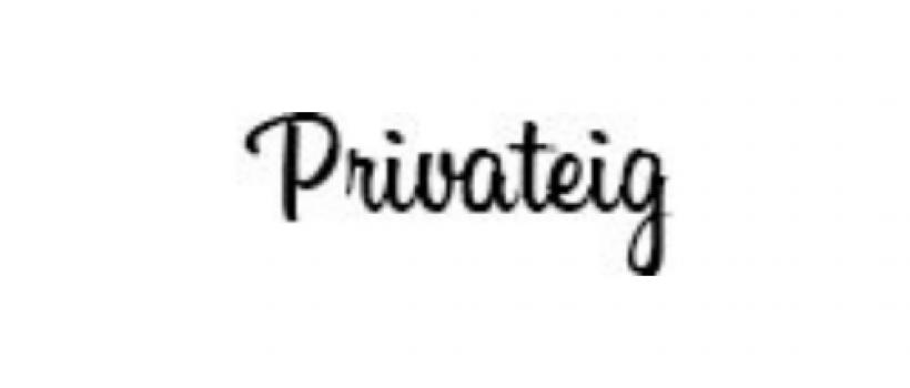 PrivateIG-logo