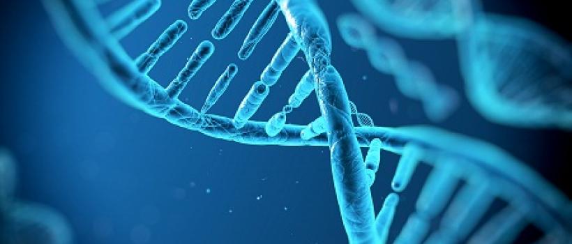 Prokaryotic DNA Polymerases