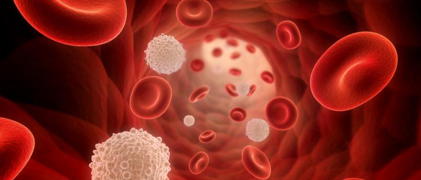 Prostate Specific Antigen Industry Market