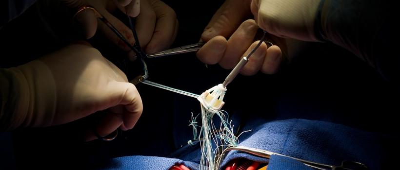 Prosthetic Heart Valves Market