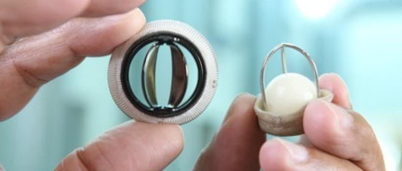 Prosthetic Heart Valves, Prosthetic Heart Valves Market, Prosthetic Heart Valves Market Growth