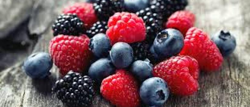 Protein Based Fat Replacers