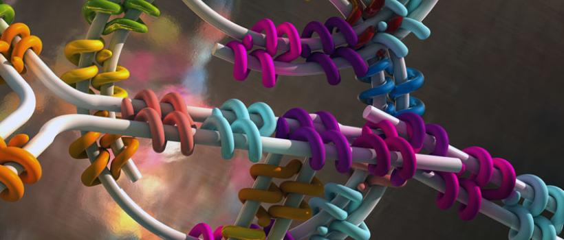Protein Stability Analysis
