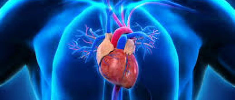 Pulmonary Arterial Hypertension (PAH) Drugs