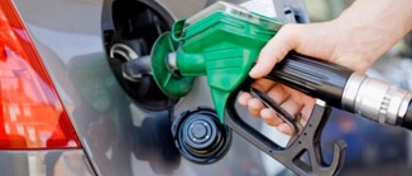 Pure biodiesel