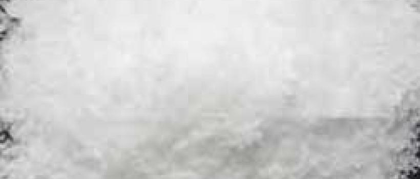 Purifed Isophthalic Acid (PIA) Market 
