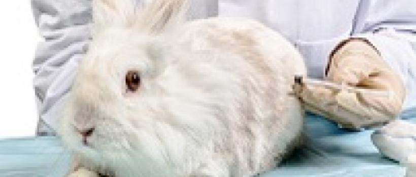 Pyrogen Testing Market