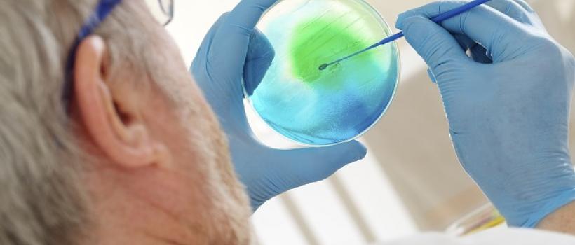 Pyrogen Testing Market