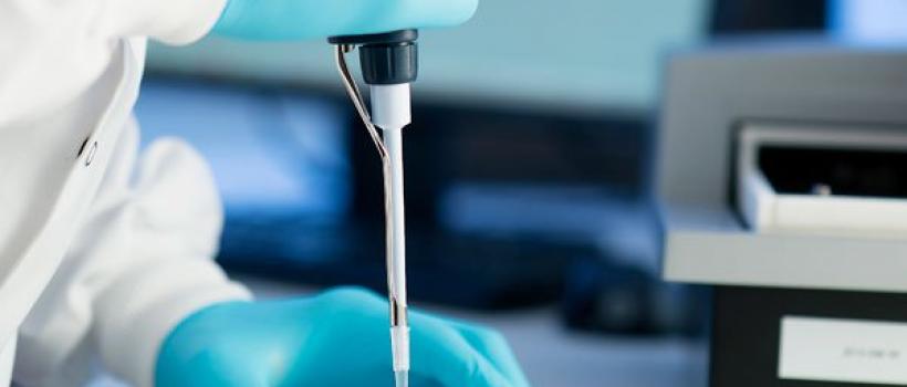 Pyrogen Testing