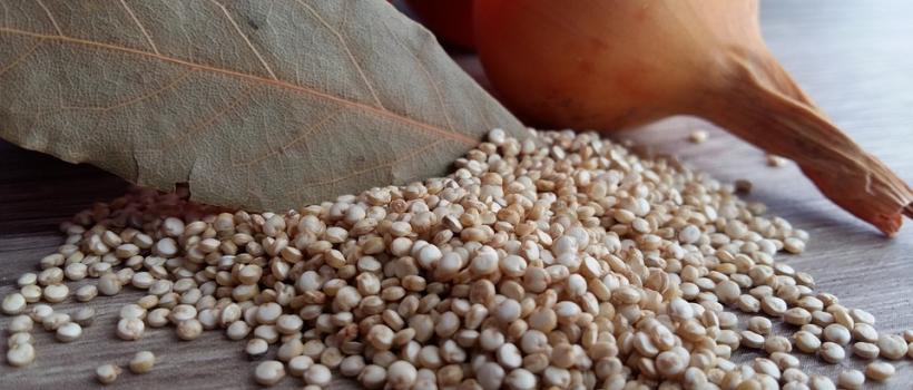 Quinoa Seed , Quinoa Seed Market, Quinoa Seed Market Growth, Presses Release, Quinoa Seed Manufacturers, Quinoa Seed Status, Quinoa Seed Market Size