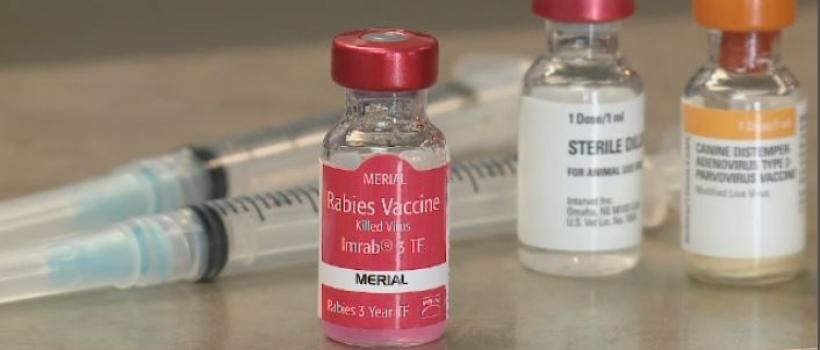 Rabies Antiserum Market 