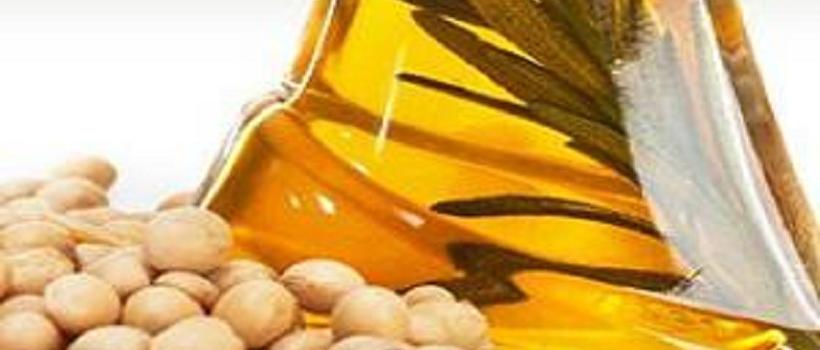 Rapeseed Lecithin, Rapeseed Lecithin Market, Rapeseed Lecithin Market Growth