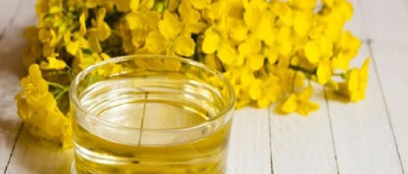 Rapeseed Oil, Rapeseed Oil Market, Rapeseed Oil Market Growth