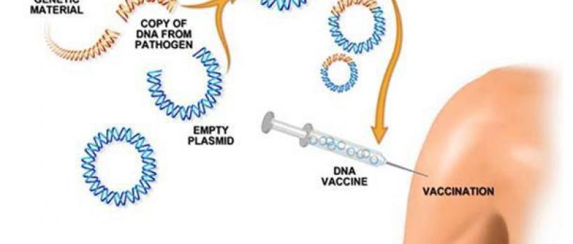 Vaccines Market