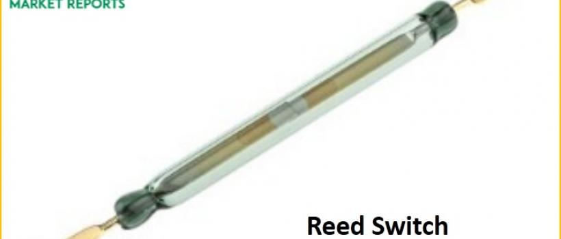 Reed Switch