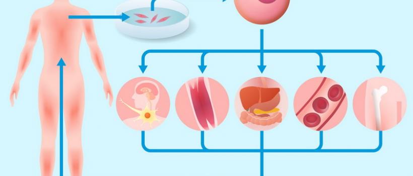 Regenerative Medicine Market