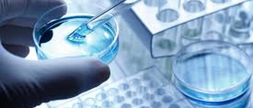 Regenerative Medicine