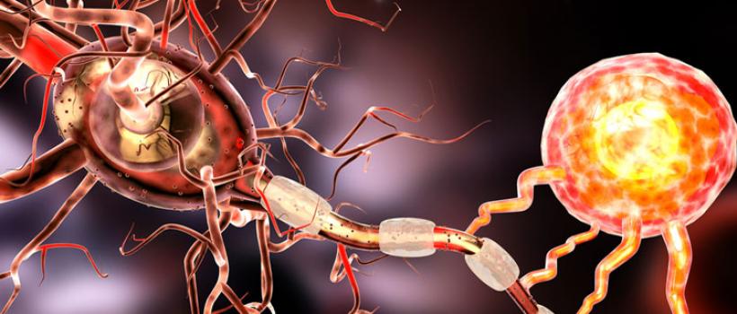 Relapsing-Remitting Multiple Sclerosis Market