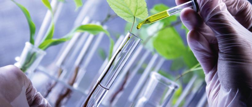 Renewable Chemicals Market 