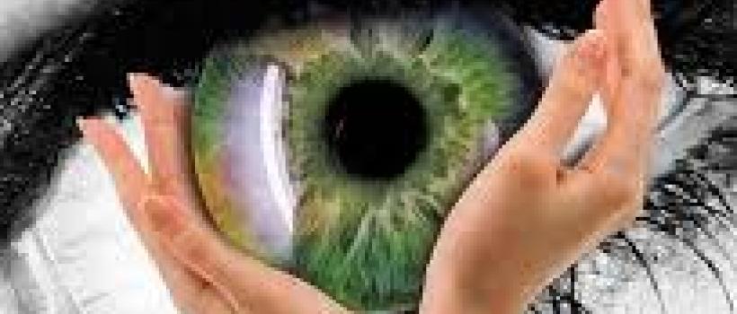 Retinal Vein Occlusion Therapeutics Market 