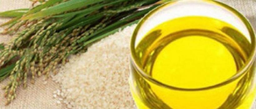 Rice Bran Oil Biodiesel 