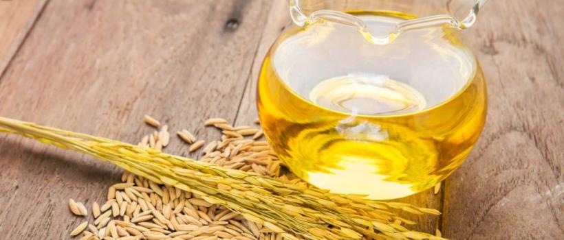 Rice Bran Oil, Rice Bran Oil Market, Rice Bran Oil Market Growth