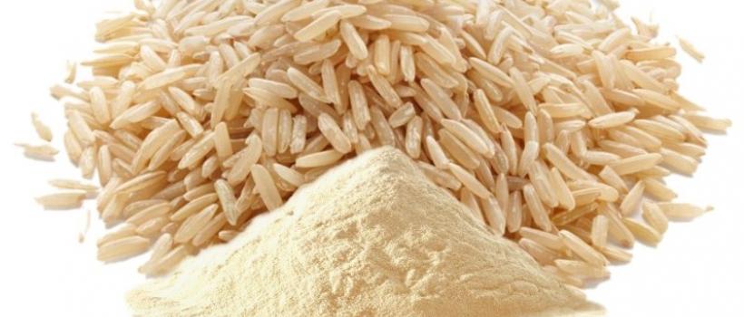 Rice Protein Market