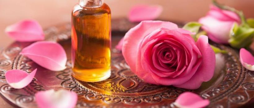 Rose Essential Oil Extract 