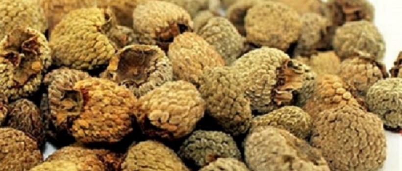 Rubus Chingii Market 