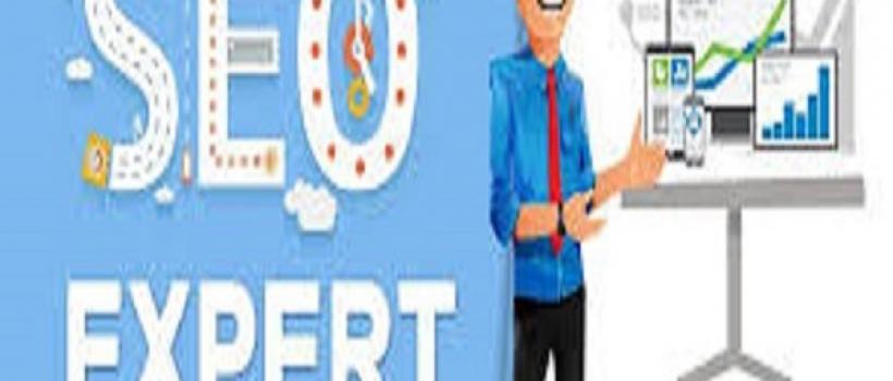 SEO Expert 