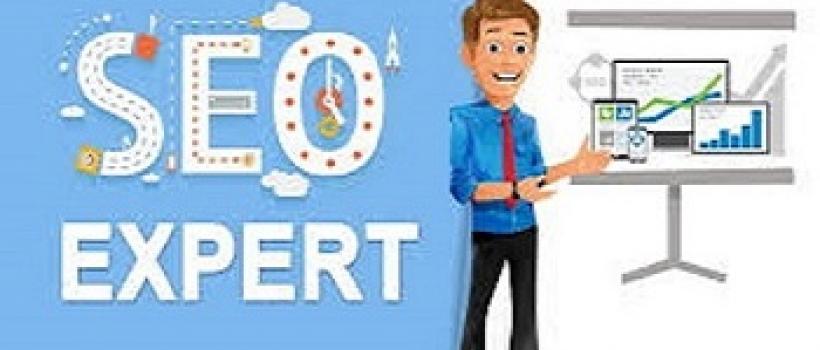 Seo experts