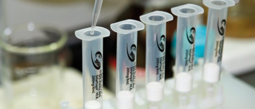 SPE Cartridge