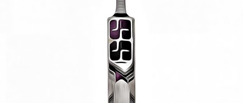 cricket bat