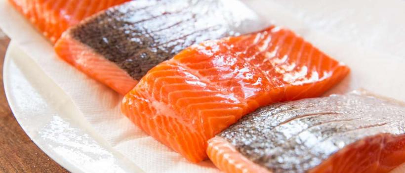 Salmon Fish 
