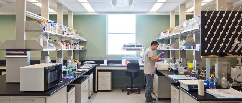Scientific Laboratory