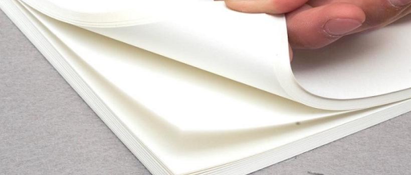 Seal Paper Market