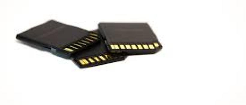 Secure Digital Cards Market